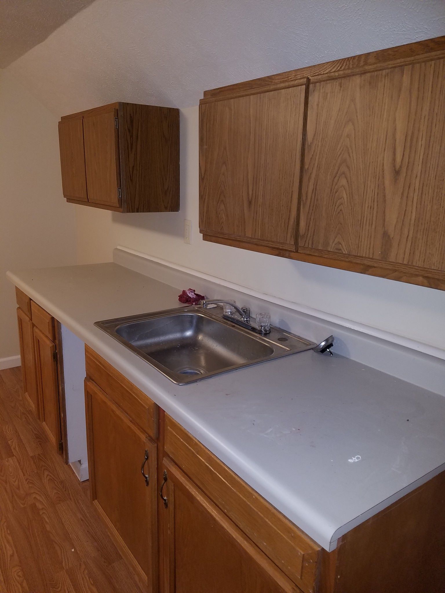 Kitchen cabinets and sink